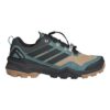 Zapatillas Terrex skychaser goretex