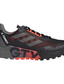 Zapatillas Adidas Terrex Agravic Flow 2 GTX