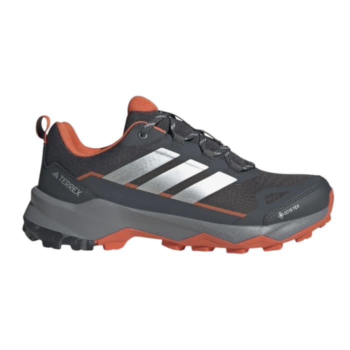 Zapatillas Adidas Terrex Skychaser AX5 GTX gris