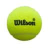 Pelotas Wilson Premier Padel Speed