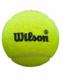 Pelotas Wilson Premier Padel Speed